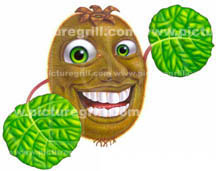 illustrator of kiwi fruit art